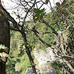 Photo n°2 de l'avis de Wolfgang.a fait le 12/09/2021 à 13:18 sur le  Gasthof Zur Guten Einkehr à Gößweinstein