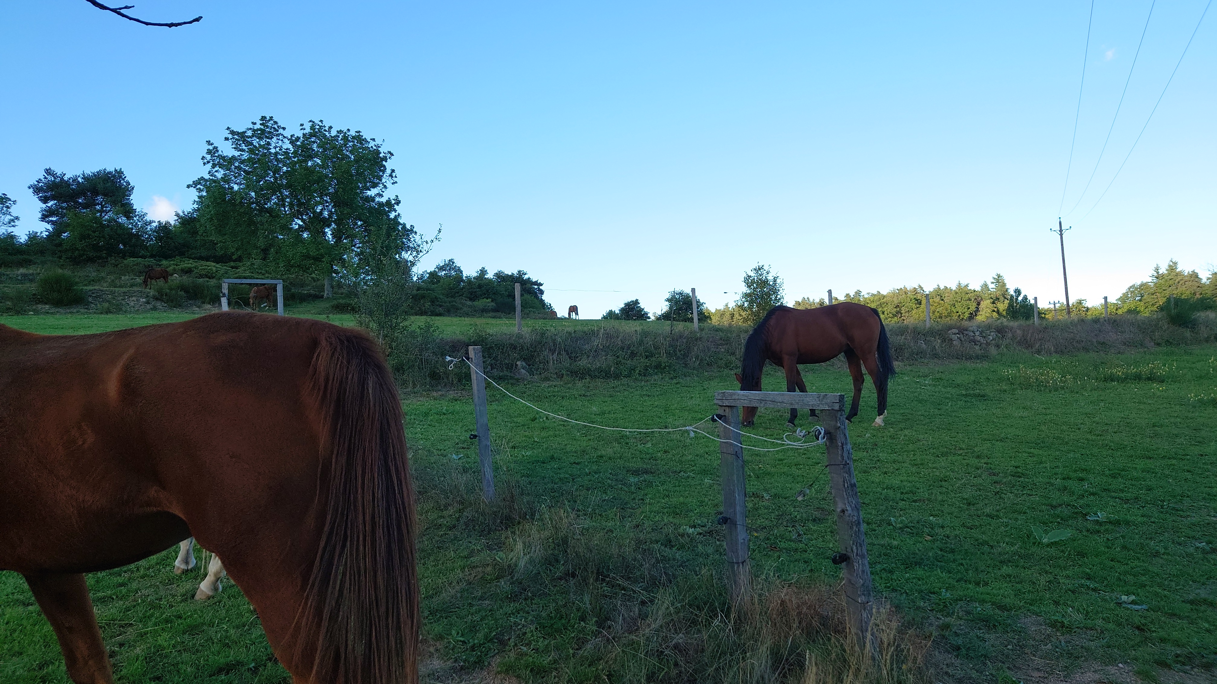 Photo n° 9 de l'avis de guillaume.o fait le 18/09/2022 à 18:35