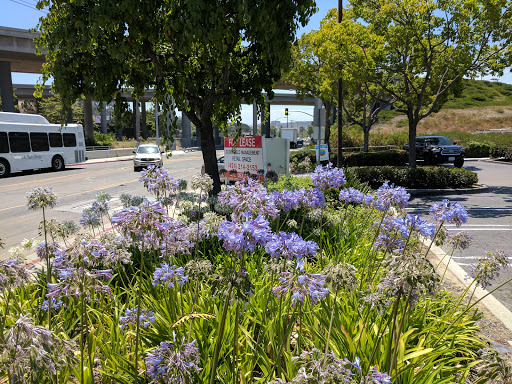 Coffee Shop «ZUMBAR Coffee & Tea», reviews and photos, 10920 Roselle St, San Diego, CA 92121, USA