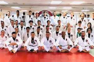 Brazilian Martial Arts Center image