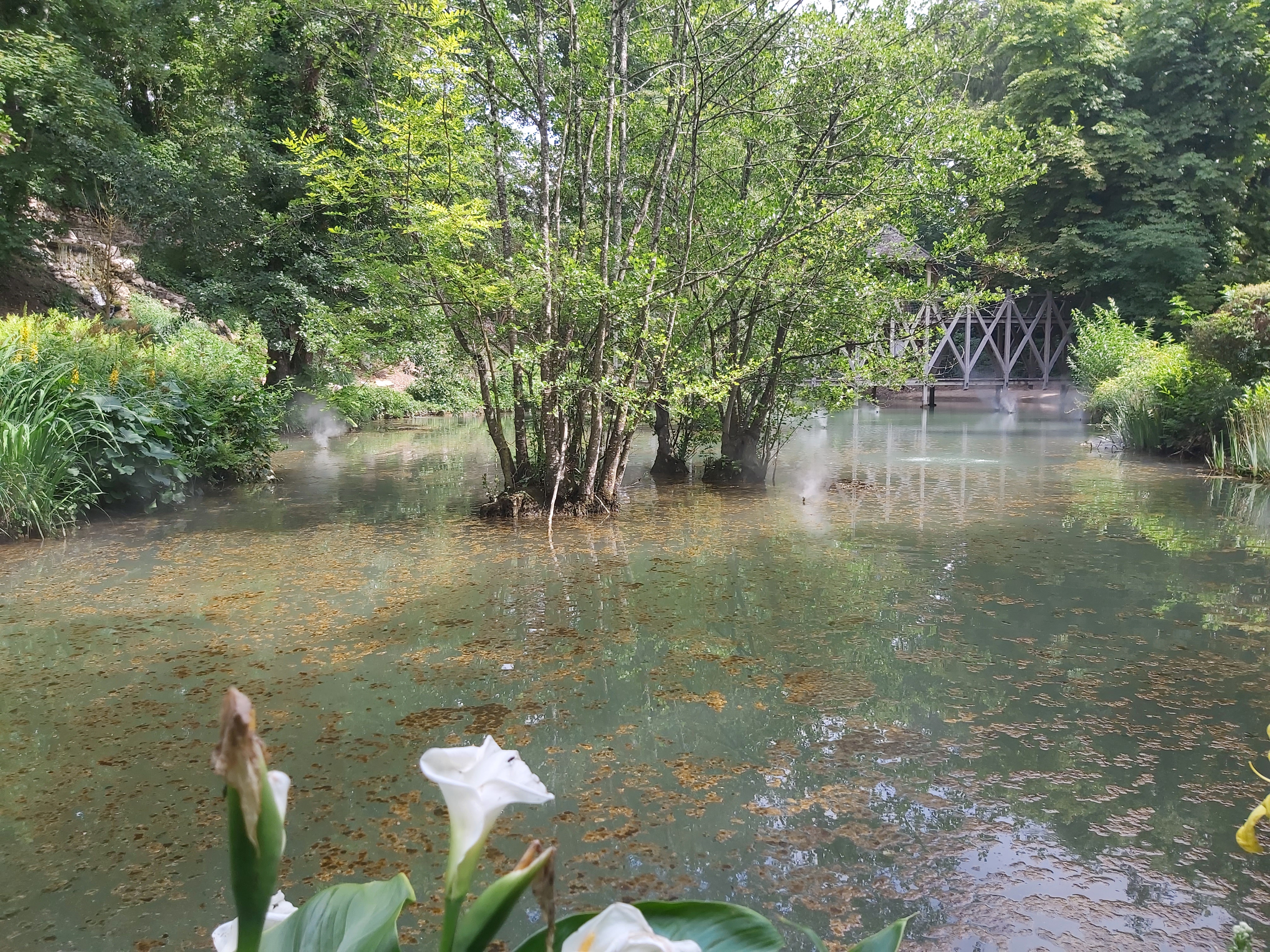 Photo n° 8 de l'avis de Maud.a fait le 25/09/2022 à 06:48