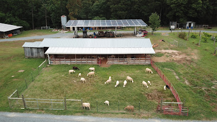 Montgomery Sheep Farm