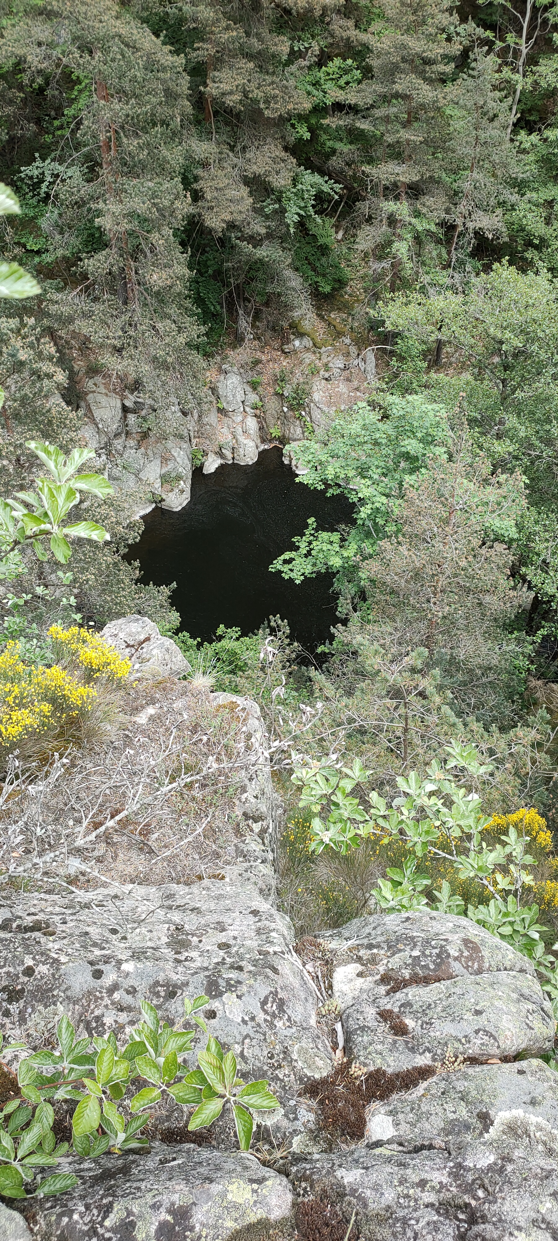 Photo n° 4 de l'avis de daniel.A fait le 23/05/2022 à 18:27