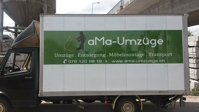 aMa-Umzüge, Mathys - Delsberg
