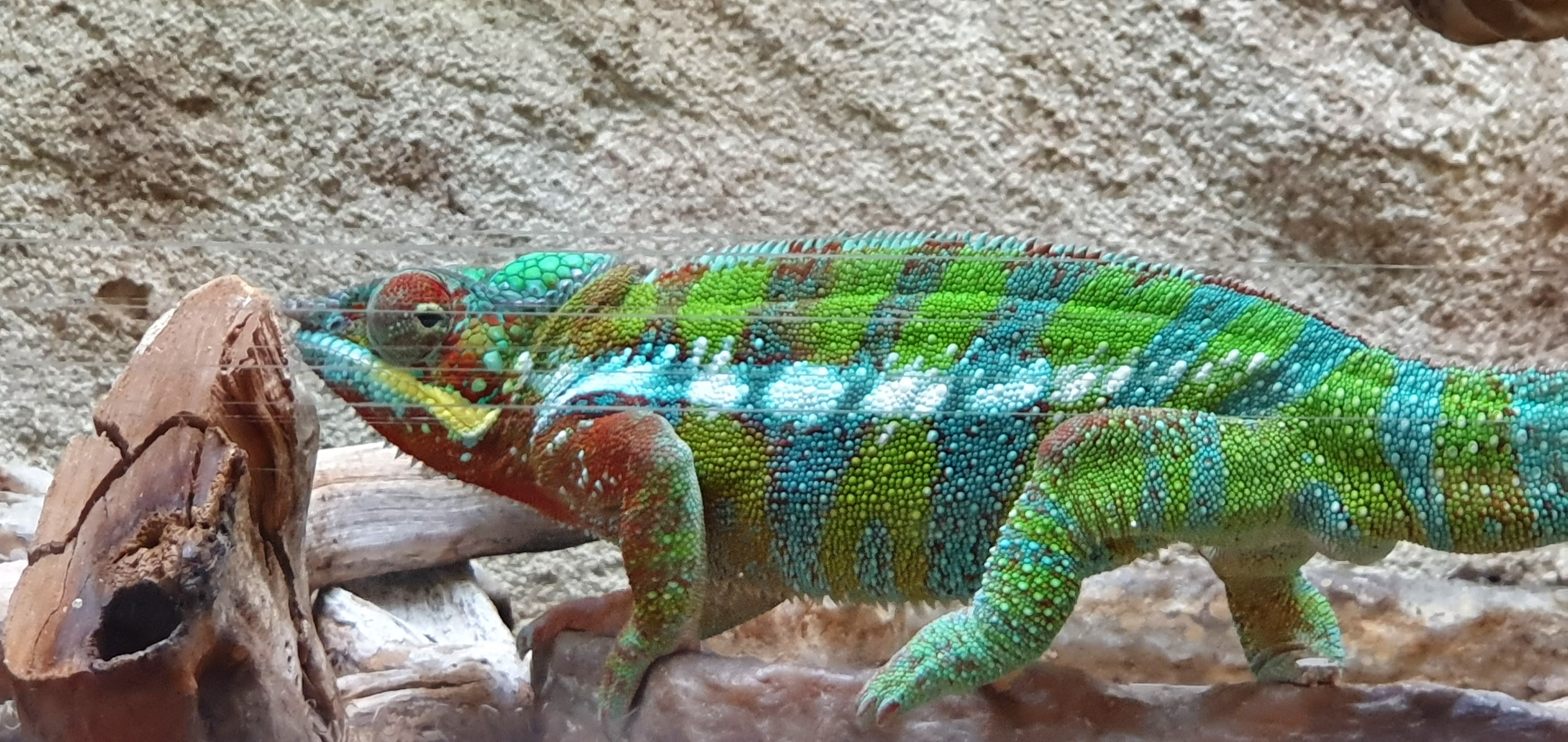 Photo n° 11 de l'avis de Laëtitia.E fait le 25/07/2020 à 00:11