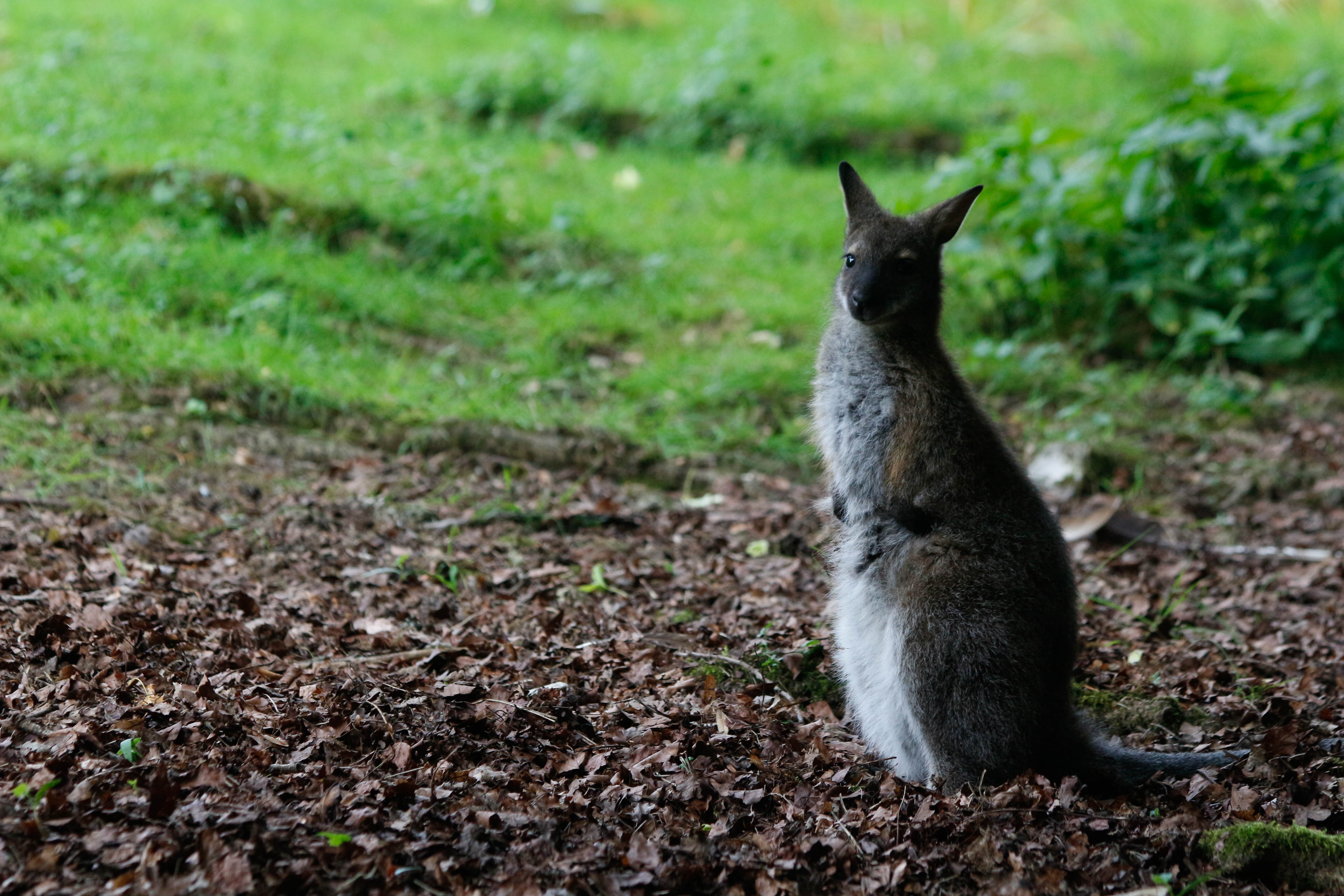 Photo n° 6 de l'avis de Laurent. fait le 05/08/2022 à 12:06