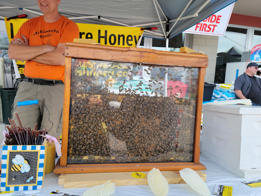 Grocery Store «Vinckier Foods», reviews and photos, 22960 W Main St, Armada, MI 48005, USA