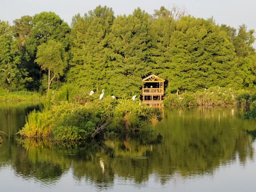 Park «Cypress Wetlands», reviews and photos, 1700 Paris Ave, Port Royal, SC 29935, USA