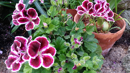 Aquarium «Belle Isle Aquarium», reviews and photos, 900 Inselruhe Ave, Detroit, MI 48207, USA