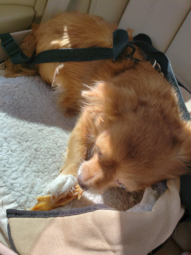 Pet Supply Store «Pet Food Warehouse, Ltd.», reviews and photos, 2455 Shelburne Rd, Shelburne, VT 05482, USA