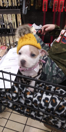 Pet Supply Store «Petco Animal Supplies», reviews and photos, 8213 Hwy 72 W c, Madison, AL 35758, USA