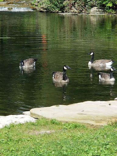 Community Park «Peterson Park», reviews and photos, 5801 N Pulaski Rd, Chicago, IL 60646, USA