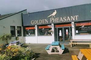 The Golden Pheasant image