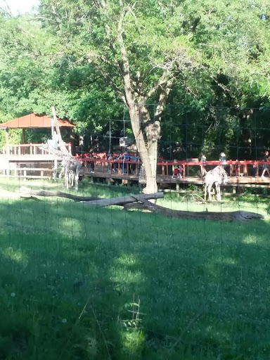 Zoo «Blank Park Zoo», reviews and photos, 7401 SW 9th St, Des Moines, IA 50315, USA