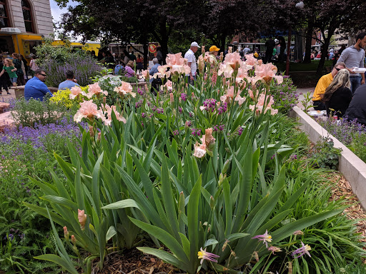 Museum «Colorado Springs Pioneers Museum», reviews and photos, 215 S Tejon St, Colorado Springs, CO 80903, USA