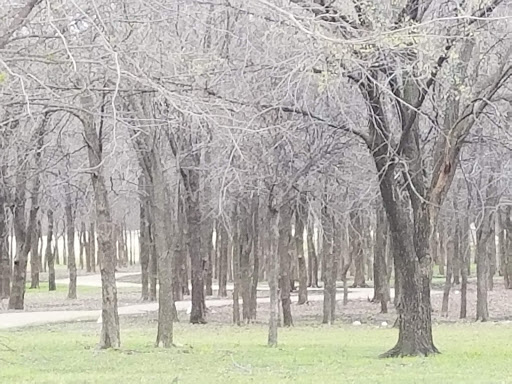 City Park «Celebration Park», reviews and photos, 701 Angel Pkwy, Allen, TX 75002, USA