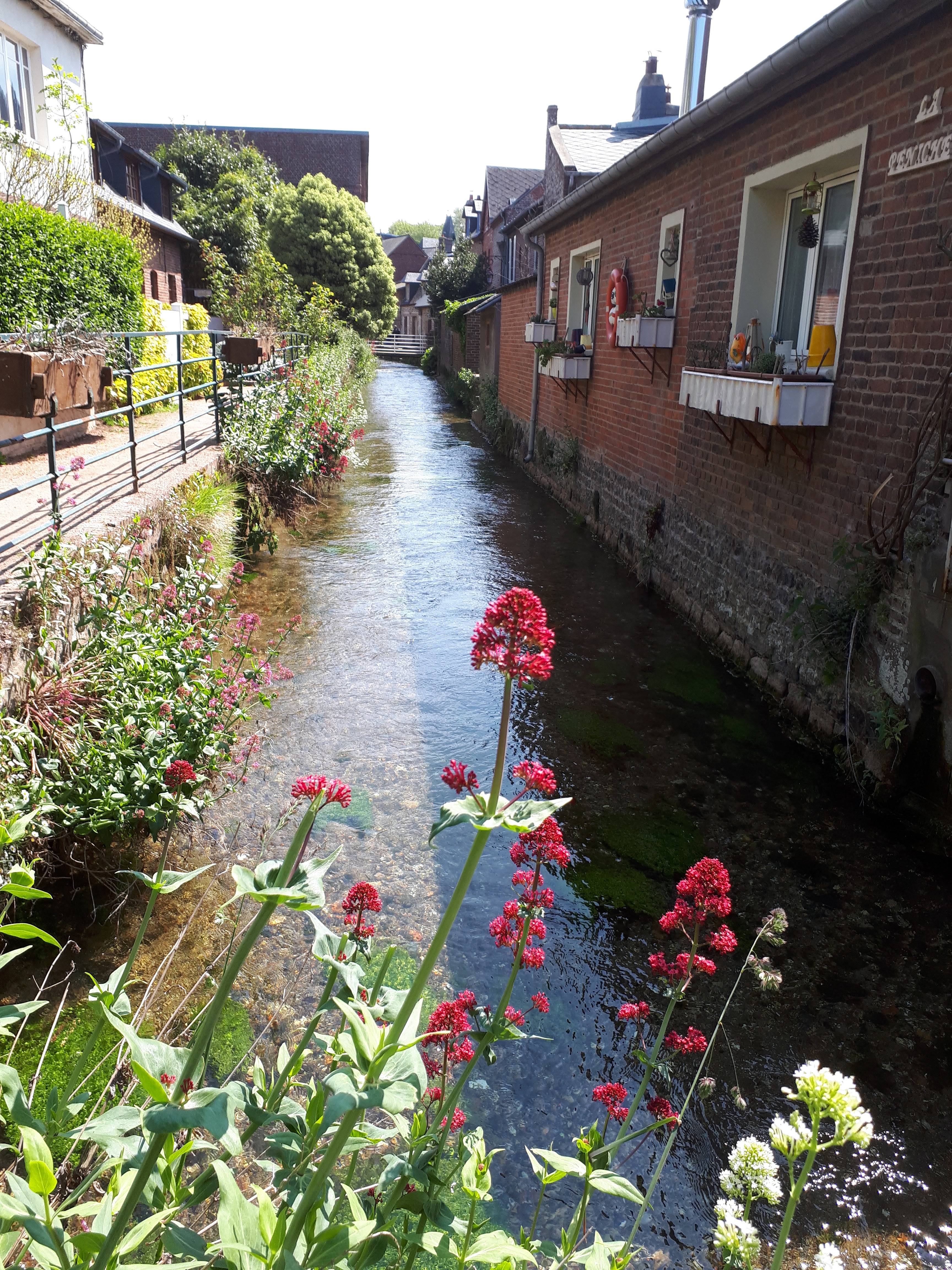 Photo n° 12 de l'avis de Didier.a fait le 11/05/2019 à 13:21