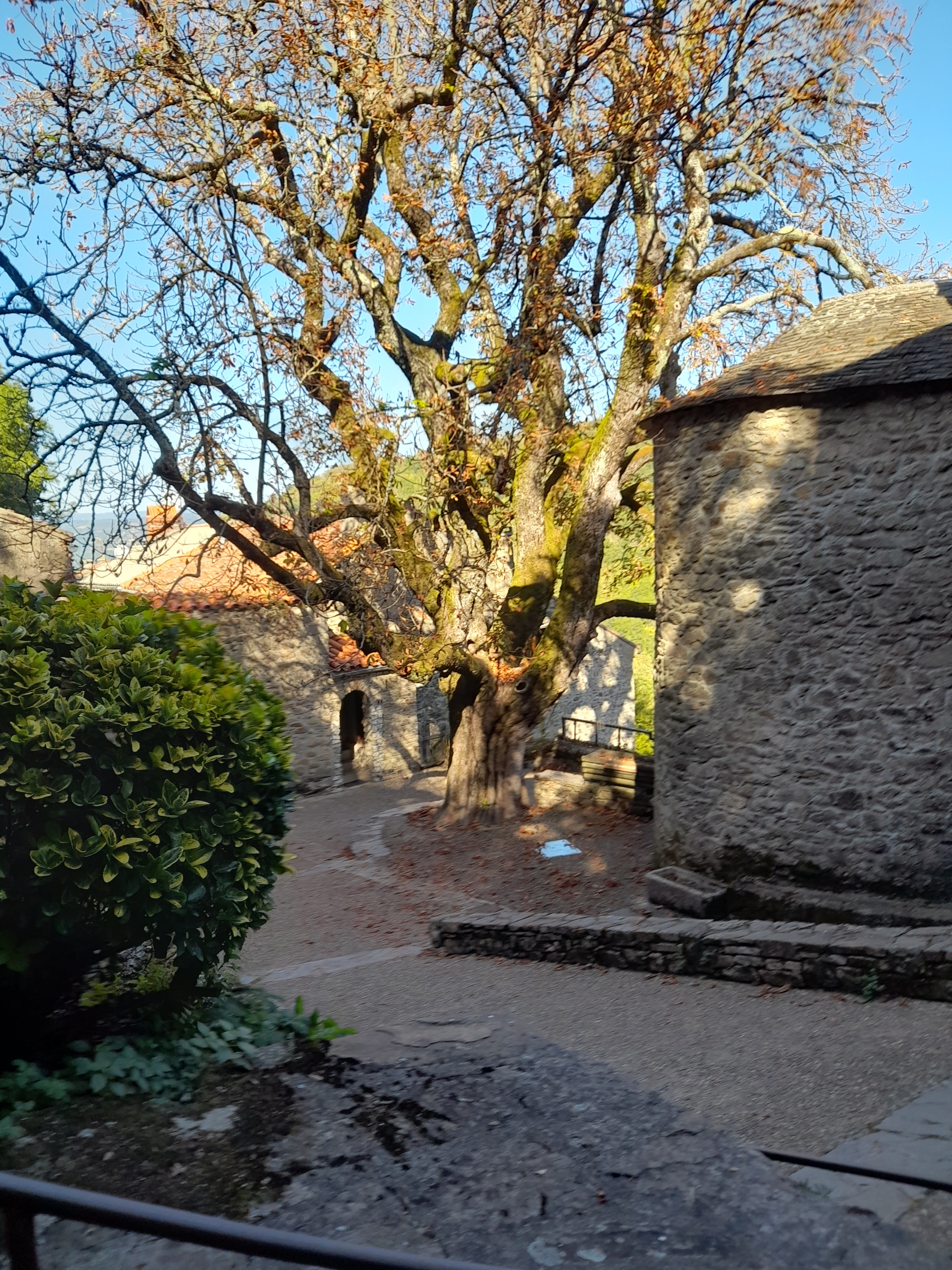 Photo n° 2 de l'avis de marie.h fait le 09/10/2023 à 16:53