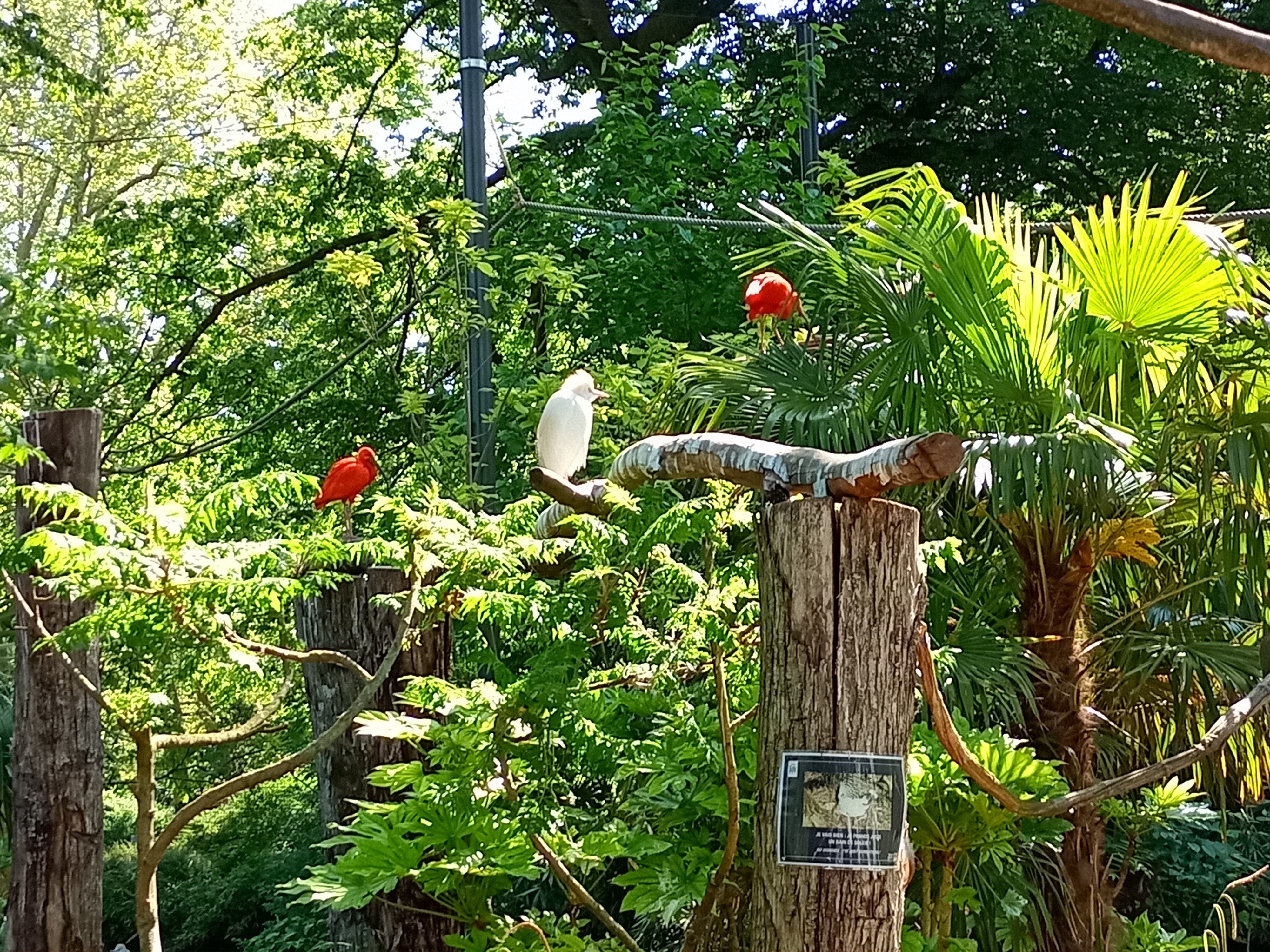 Photo n° 4 de l'avis de Caroline.o fait le 02/06/2021 à 11:48