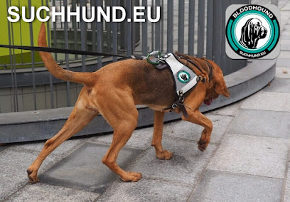 Rettungshunde SUCHHUND.EU