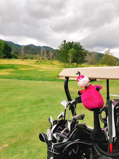Golf Course «Glen Ivy Golf Club», reviews and photos, 24400 Trilogy Pkwy, Corona, CA 92883, USA