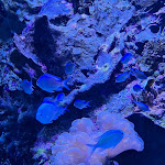 Photo n° 9 de l'avis de Arnaud.u fait le 22/08/2023 à 06:50 pour Océarium du Croisic à Le Croisic