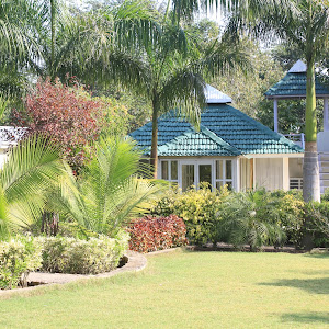 Village Machaan Resort- Best Hotel In Pench Jungle Safari (division Of Vvillage Resorts) photo
