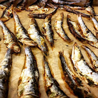 SFRAW San Francisco Raw Feeders - Photo 8 - Car repair in San Francisco, CA, San Francisco