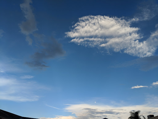 Movie Theater «AMC The Regency 20», reviews and photos, 2496 W Brandon Blvd, Brandon, FL 33511, USA