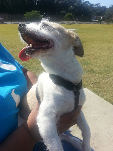 Park «Al Helms Dog Park», reviews and photos, 1022 Balboa Ave, Panama City, FL 32401, USA