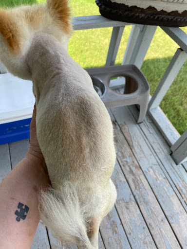 Pet Supply Store «PetSmart», reviews and photos, 6046 Marsha Sharp Fwy, Lubbock, TX 79407, USA