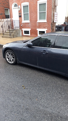 Used Car Dealer «Fitzgerald Auto Mall Wheaton», reviews and photos, 10915 Georgia Ave, Wheaton, MD 20902, USA