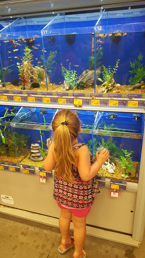 Pet Supply Store «PetSmart», reviews and photos, 5226 S College Rd, Wilmington, NC 28412, USA