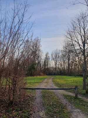 Sentier Découverte des Odonates à Moret-Loing-et-Orvanne