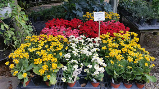Florist «Weatherbee Nursery», reviews and photos, 701 E Weatherbee Rd, Fort Pierce, FL 34982, USA