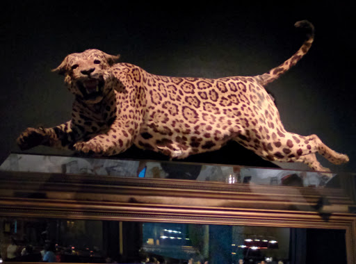 Steak House «Cool River», reviews and photos, 1045 Hidden Ridge, Irving, TX 75038, USA