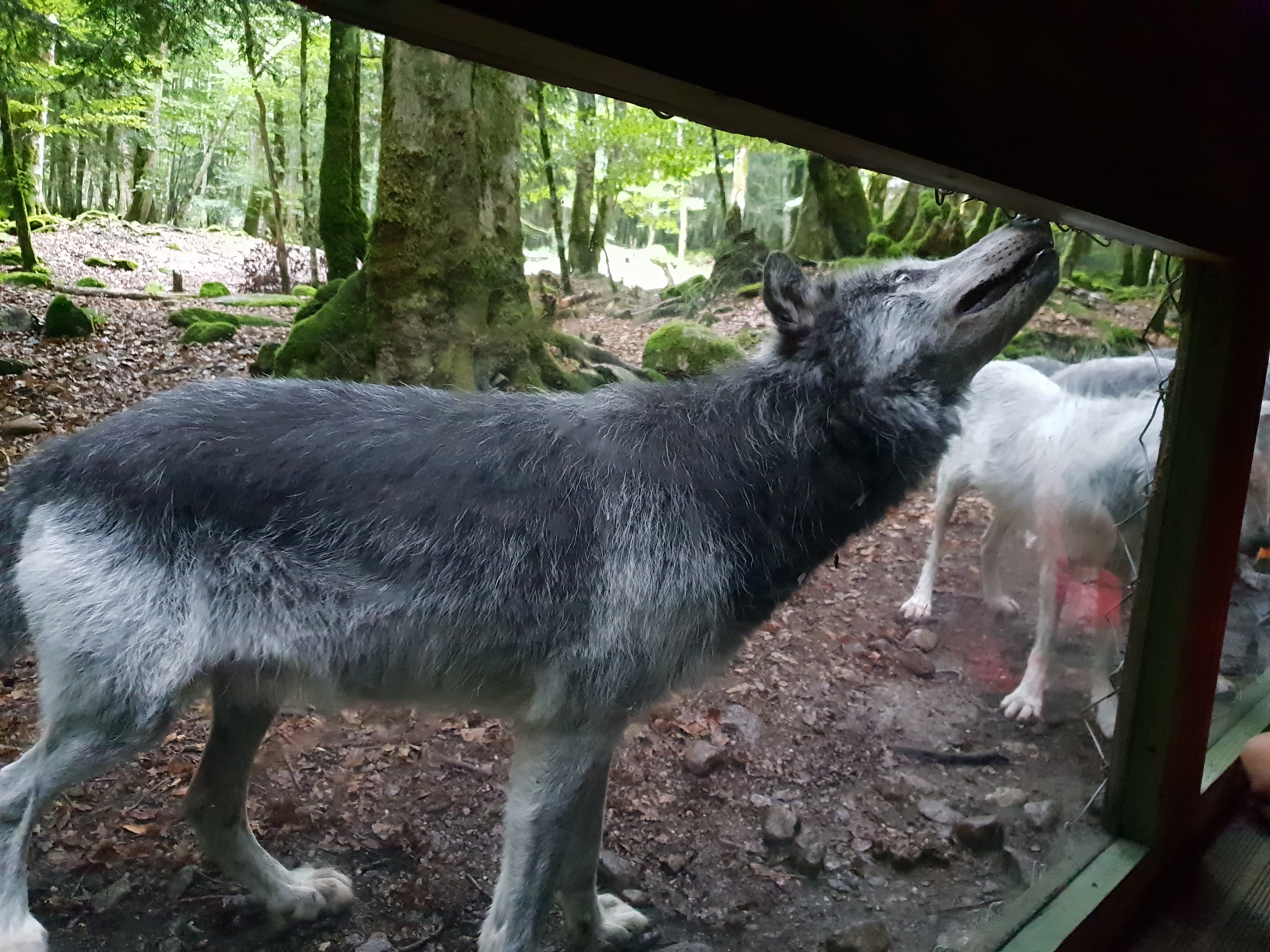 Photo n° 1 de l'avis de Lucie. fait le 13/08/2018 à 19:56