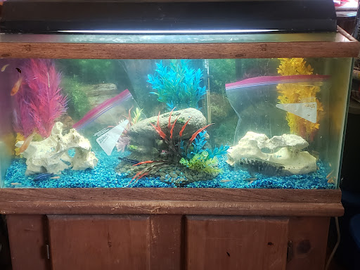 Pet Supply Store «Petco Animal Supplies», reviews and photos, 1401 E Spring Valley Rd, Richardson, TX 75081, USA