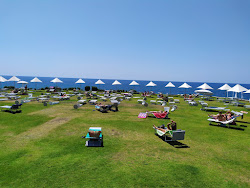 Lamaree Lido'in fotoğrafı #alt_locality_no