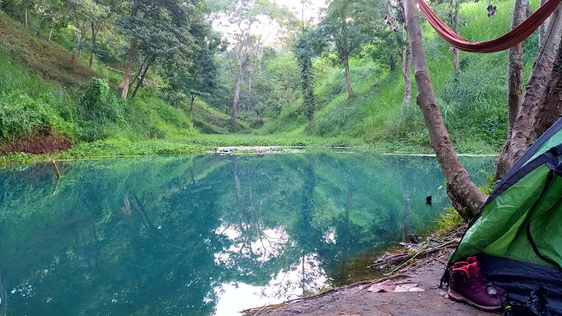 Menjelajahi Keindahan Hutan Nasional di Kabupaten Lombok Timur: Tempat yang Harus Dikunjungi