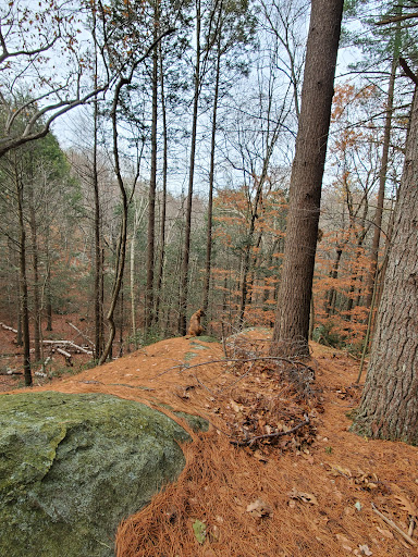 State Park «Wilson Mountain Reservation», reviews and photos, 384 Common St, Dedham, MA 02026, USA