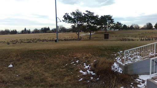 Park «Del Mar Park», reviews and photos, 12000 E 6th Ave, Aurora, CO 80010, USA