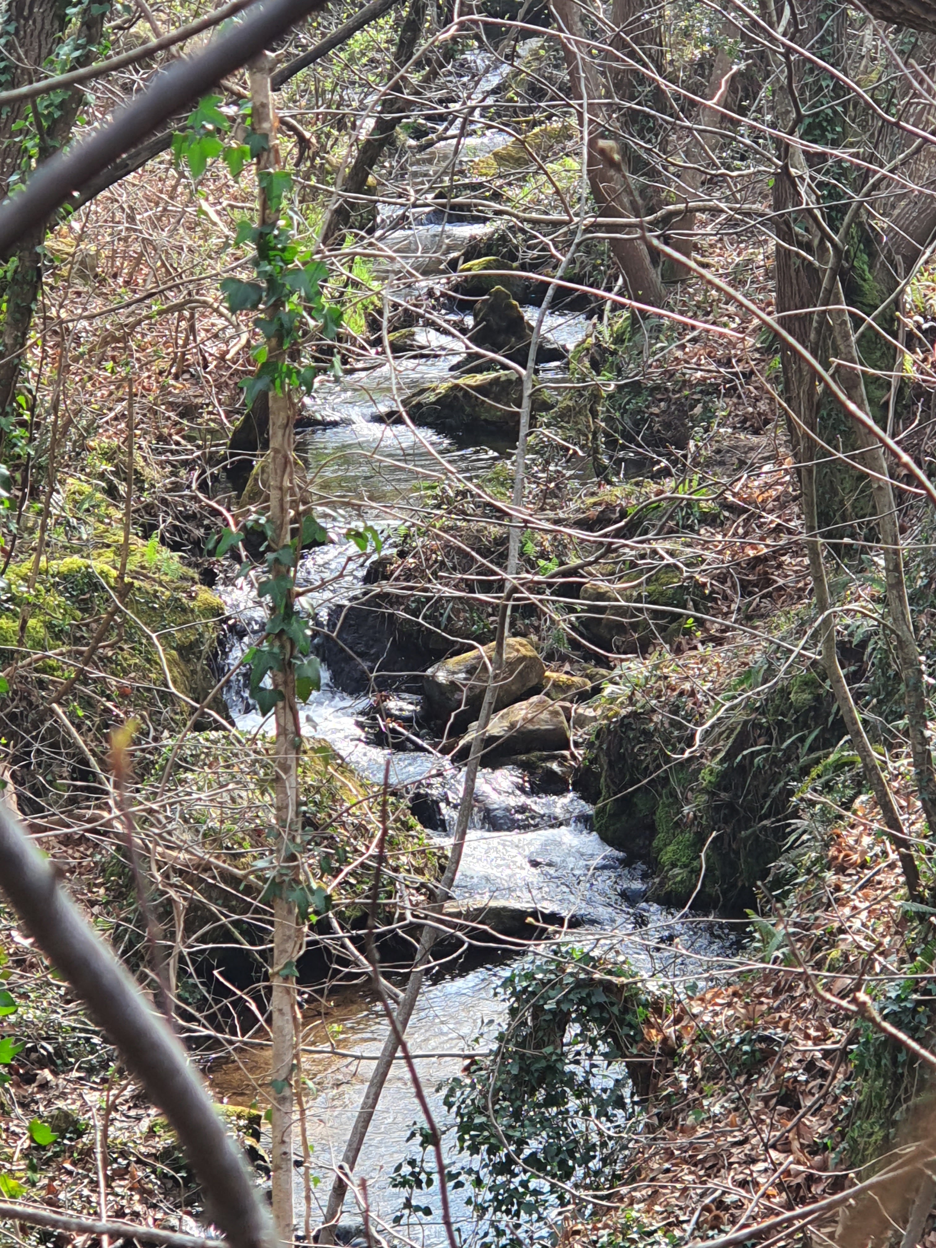 Photo n° 1 de l'avis de jeanpaul.e fait le 24/02/2021 à 17:05