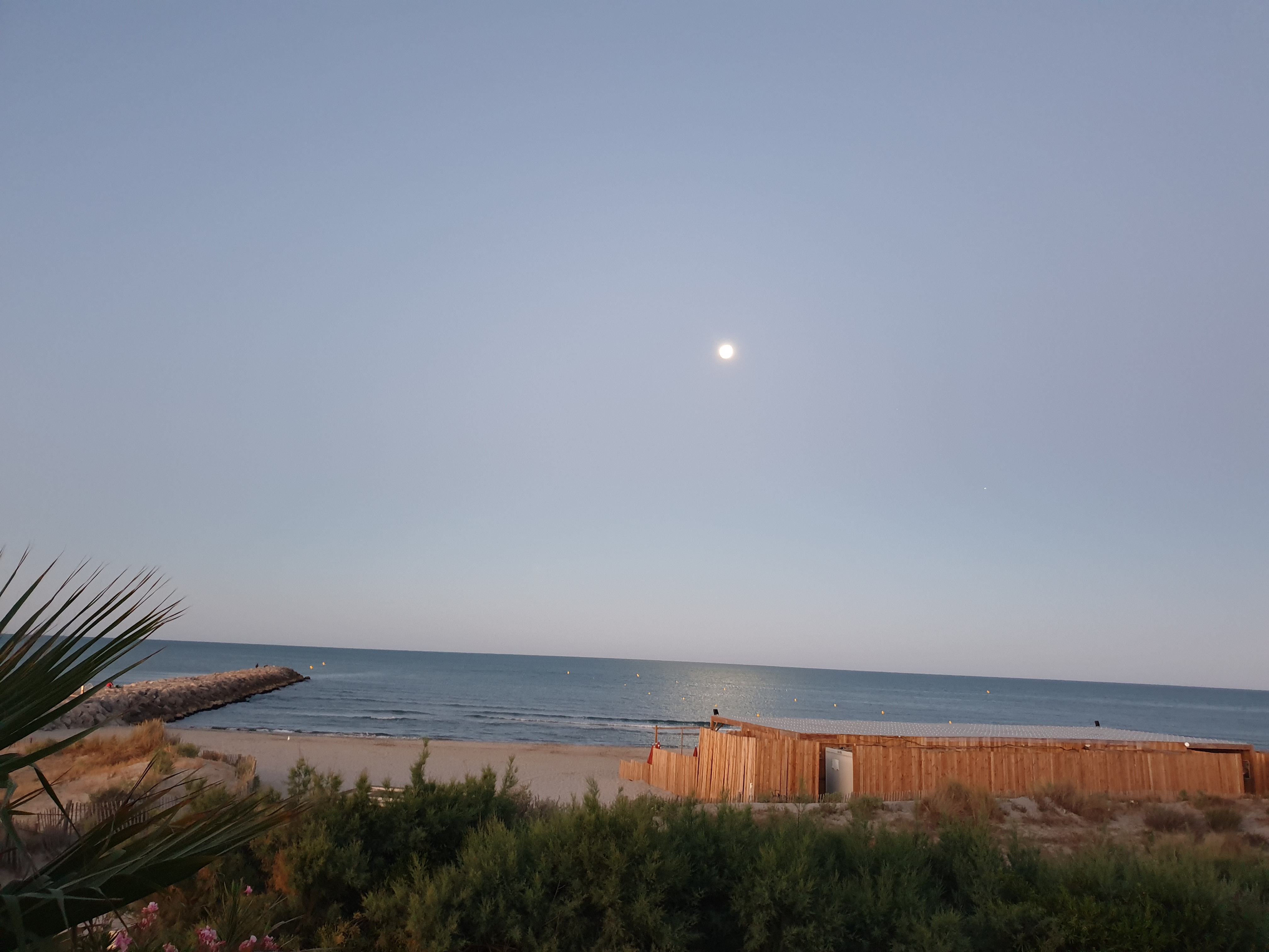 Photo n° 4 de l'avis de Olympia.e fait le 28/07/2020 à 18:13
