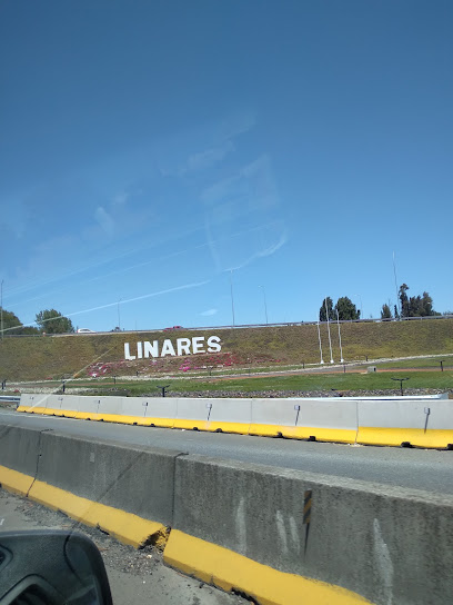 Peaje Lateral Linares