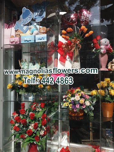 Opiniones de Floreria Magnolias Flowers en Lima - Floristería