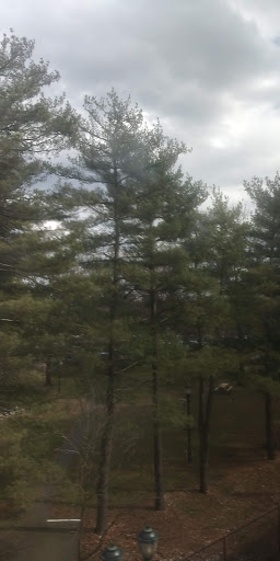 Park «Parker Press Park», reviews and photos, 400 Rahway Ave, Woodbridge, NJ 07095, USA