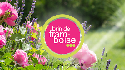 Brin de Framboise - Fleuriste 91 | Compositions florales à Sainte-Geneviève-des-Bois