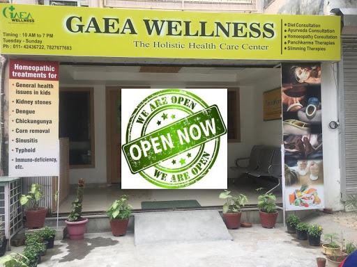 Gaea Wellness The Holistic Healthcare Center (Homeopathy, Diet, Ayurveda & Panchkarma)