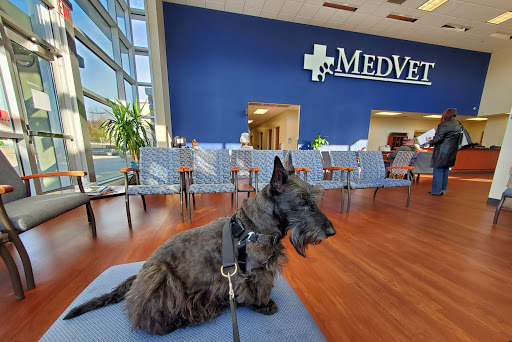 MedVet Cincinnati